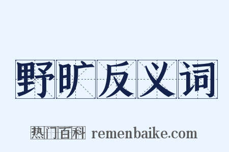 野旷反义词是什么意思的图片